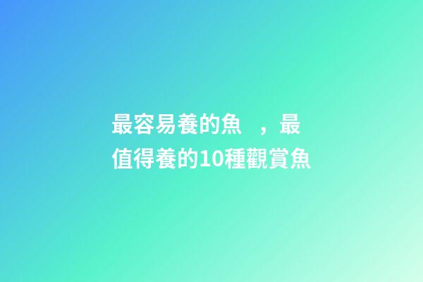最容易養的魚，最值得養的10種觀賞魚